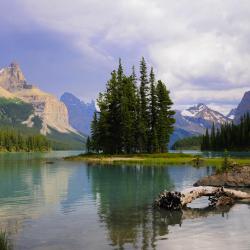 Jasper National Park  Жилье для отдыха (4)