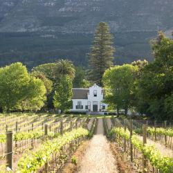 Cape Winelands