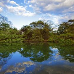 Guanacaste