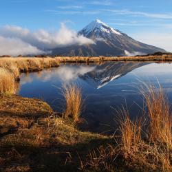 Taranaki 160 ที่พักให้เช่า