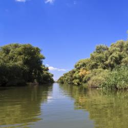 Danube Delta 144 гостьових будинків