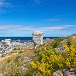 Gotland 148 cottages