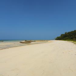 Andaman Islands 6 of the cottages