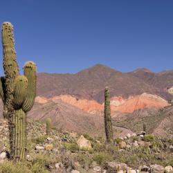 Jujuy