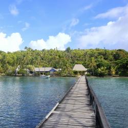 Viti Levu 4 bungalows