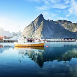 Lofoten Brunarice (123)