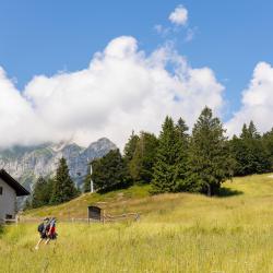 Trentino