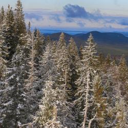 North Karelia 209 smeštaja za odmor