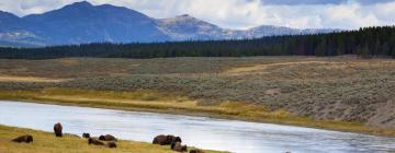 Hotels in der Region Yellowstone National Park-West Gate