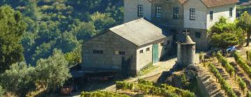 Allotjaments vacacionals a Douro