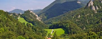 Hotell i Semmering-Rax-Schneeberg