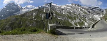 Bed and breakfasts a Great Alpine Road