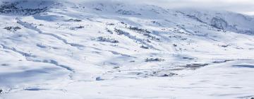 Chalets dans cette région : Baqueira Beret