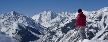 Шале в регіоні Aspen-Snowmass