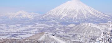 Niseko Ski: cottage