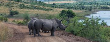 Smáhýsi á svæðinu Pilanesberg National Park