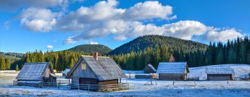 Rumah Kotej di Pokljuka