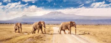 Amboseli National Park  glamping noktalarını