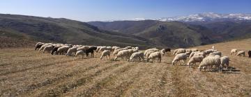 Semesterboenden i Trás-os-Montes e Alto Douro