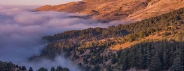 Хотели в района на Mount Lebanon