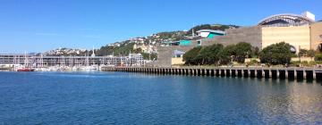 Boenden vid stranden i Wellington