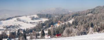 Hótel á svæðinu Silesian Beskids