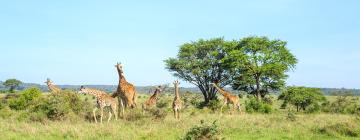 Отели с парковкой в регионе Nairobi National Park