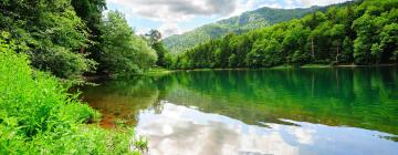 Hotels a Parc nacional de Biogradska Gora