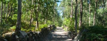 Rentas vacacionales en Camino de Santiago de los Portugueses