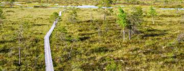 Хотели в района на Soomaa National Park