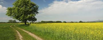 Гостевые дома в регионе Südburgenland