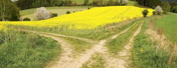 Хотели в района на Bohemian-Moravian Highlands