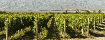 Tradicionalne kućice u regiji 'Wine Route Mendoza'