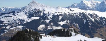 ชาเลต์ในKitzbuhel