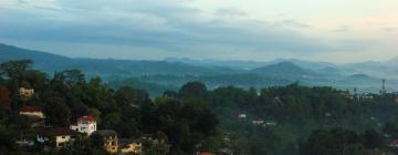 Kandy District: hotel