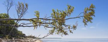 Alquileres vacacionales en Fischland-Darß-Zingst