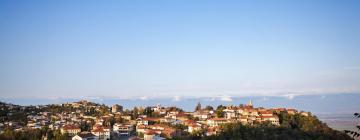 Cabane în Kakheti