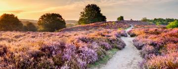 Mökit alueella Hoge Veluwe National Park