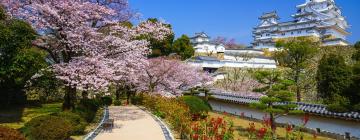 Proprietăți cu onsen în Hyogo