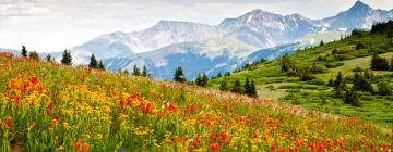 Alojamentos para fÃ©rias em Colorado