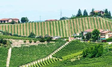 Ubytování v soukromí v regionu Langhe