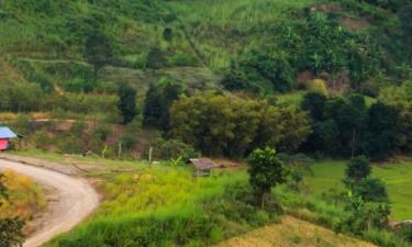 Hotel Mesra Haiwan Peliharaan di Loei Province