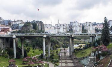 Bungalower i Trabzon Province