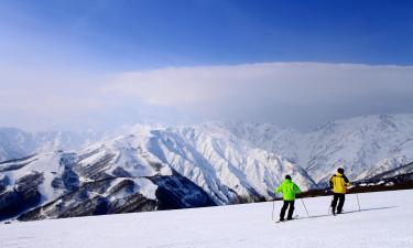 Hotel Ramah Hewan Peliharaan di Hakuba Ski