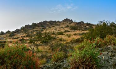 Villaer i Al Baha Province