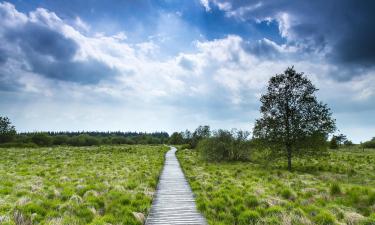 Pensiones en Hautes Fagnes