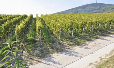 Guest Houses in Tokaj Wine Region