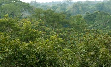 Hoteles en Amazonas