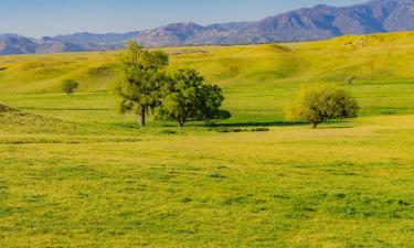 Kondo di San Diego County