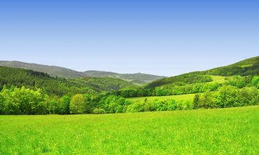 Hôtels dans cette région : Forêt de Bohème